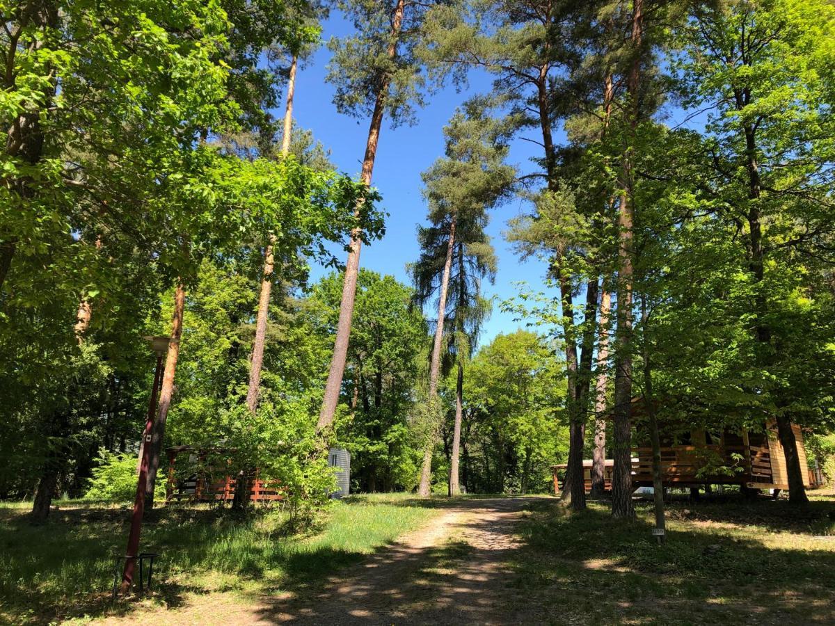 Camping Osenbach Εξωτερικό φωτογραφία