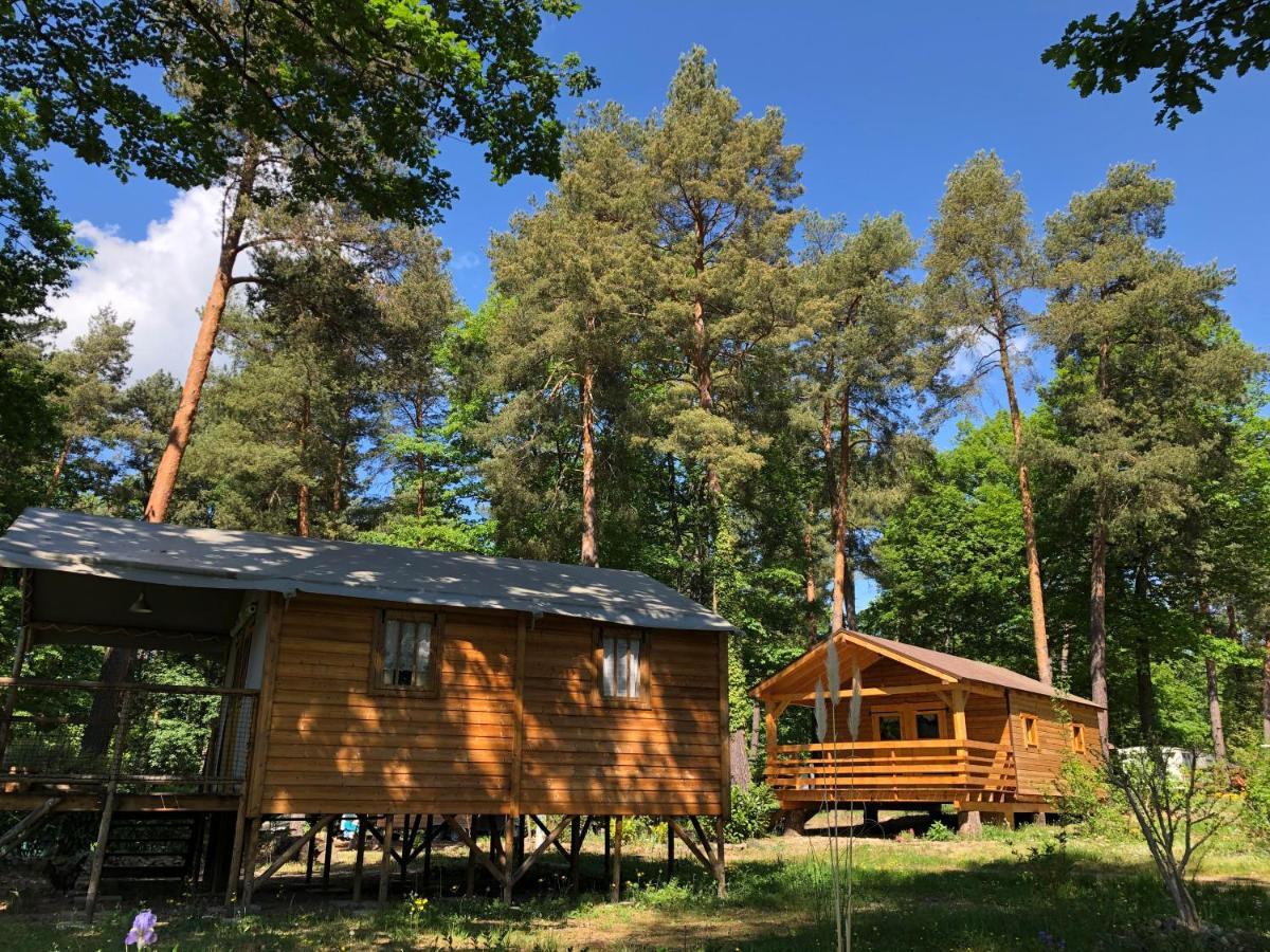 Camping Osenbach Εξωτερικό φωτογραφία
